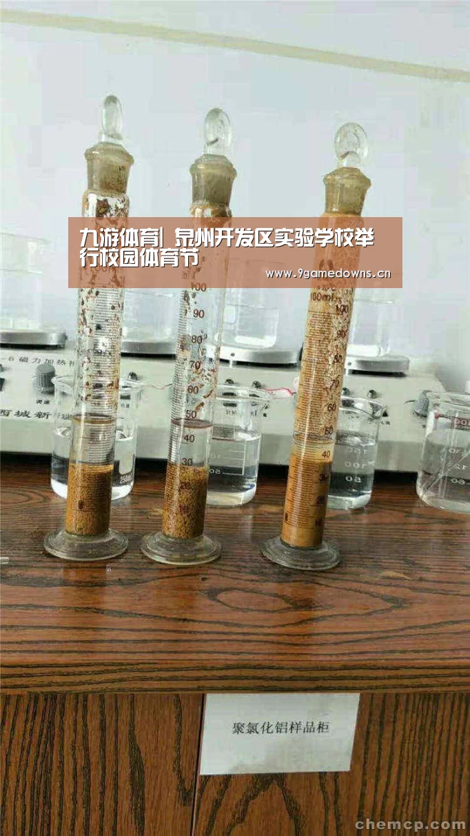 九游体育|
泉州开发区实验学校举行校园体育节(图2)