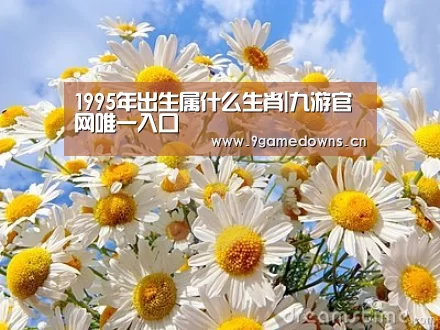 
1995年出生属什么生肖|九游官网唯一入口 