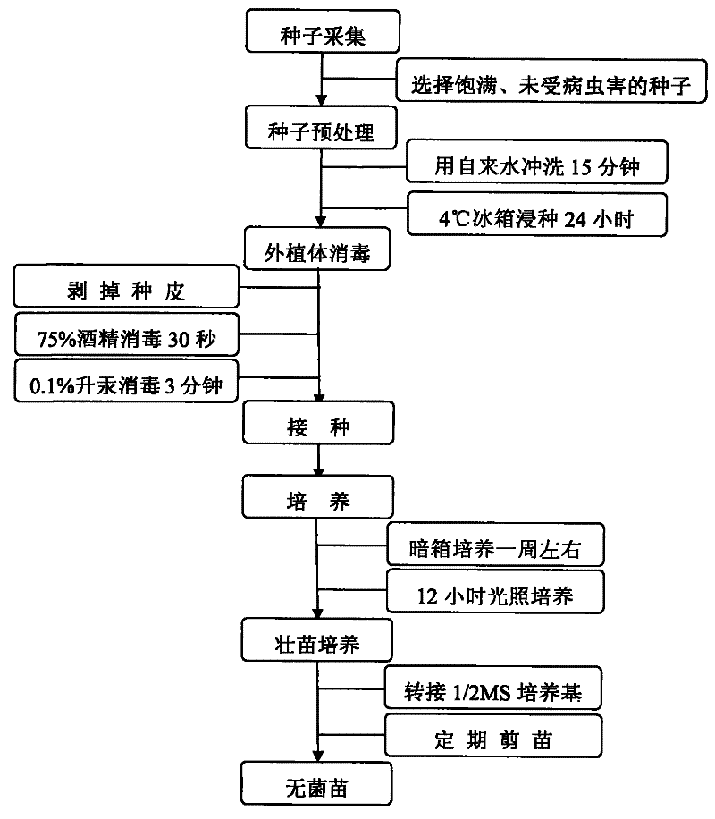 
巴萨凭借这一体现彻底征服欧冠！瓜迪奥拉也没做到 MSN太无解！|九游体育