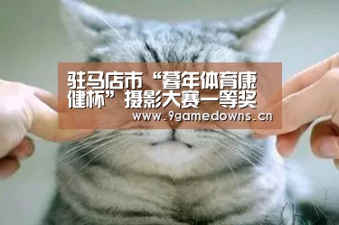 九游官网唯一入口 