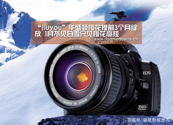 九游官网唯一入口 