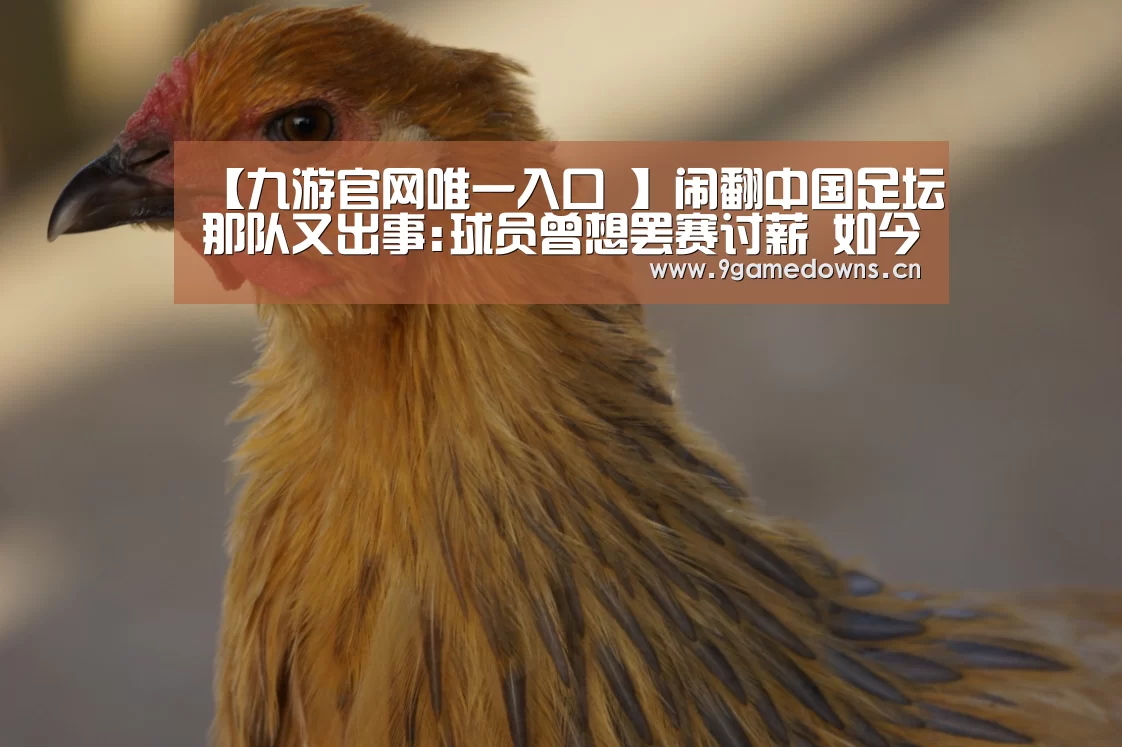 九游官网唯一入口 