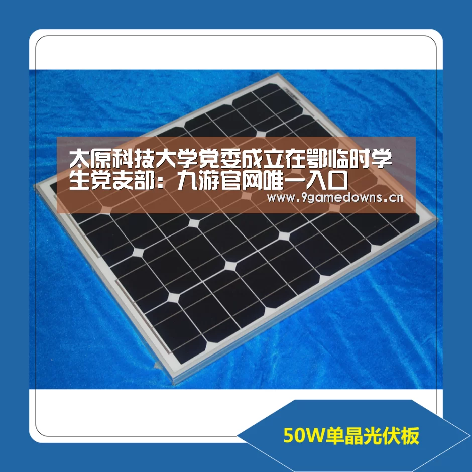 太原科技大学党委成立在鄂临时学生党支部：九游官网唯一入口 